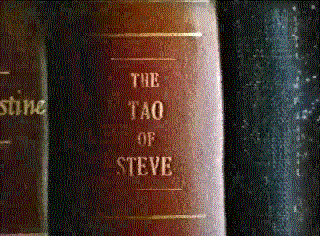 The Tao of Steve